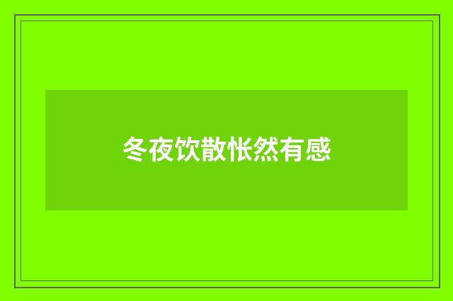 冬夜饮散怅然有感