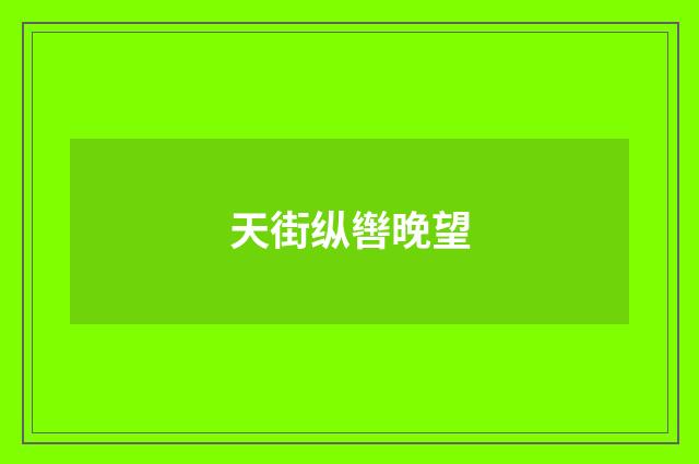 天街纵辔晚望