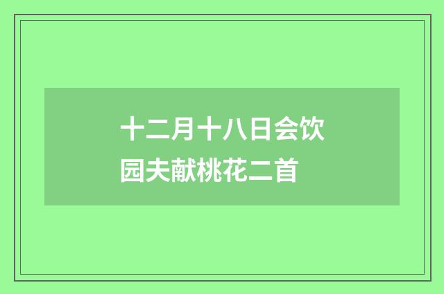 十二月十八日会饮园夫献桃花二首