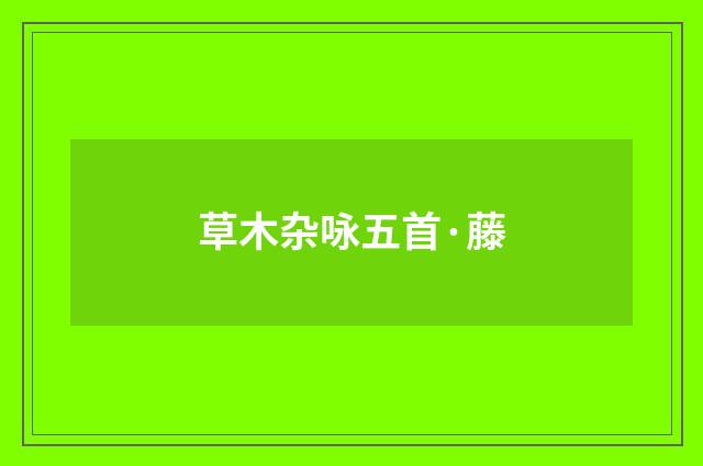 草木杂咏五首·藤