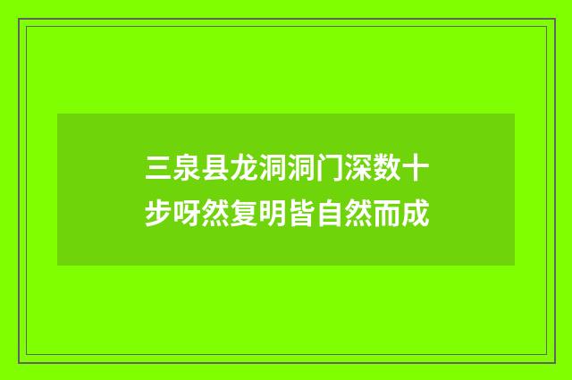三泉县龙洞洞门深数十步呀然复明皆自然而成