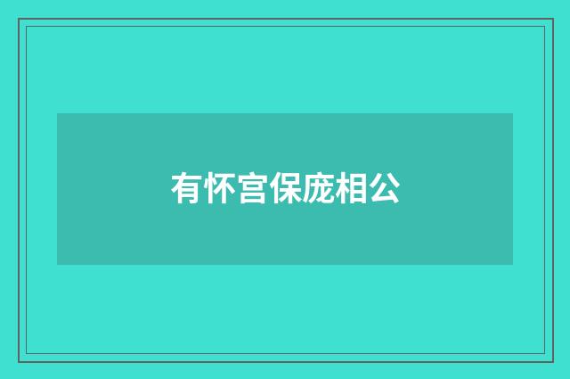 有怀宫保庞相公