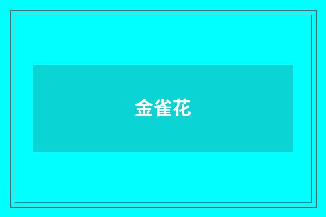 金雀花