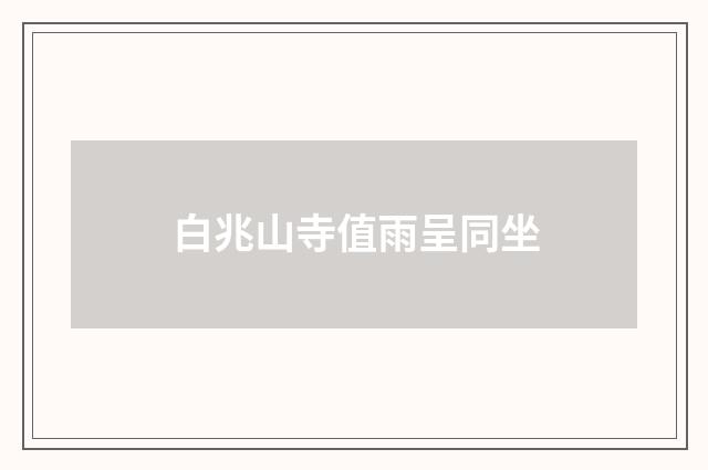 白兆山寺值雨呈同坐