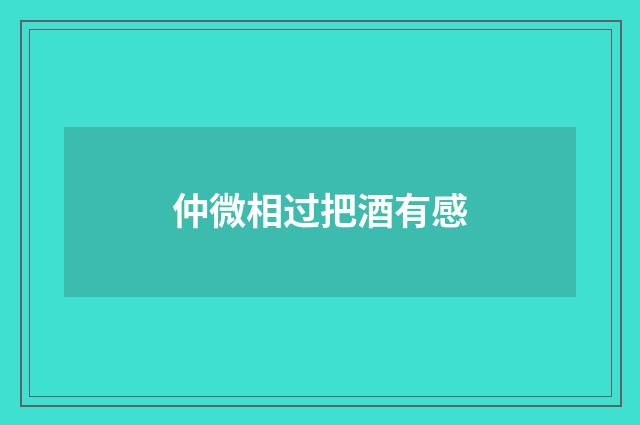 仲微相过把酒有感