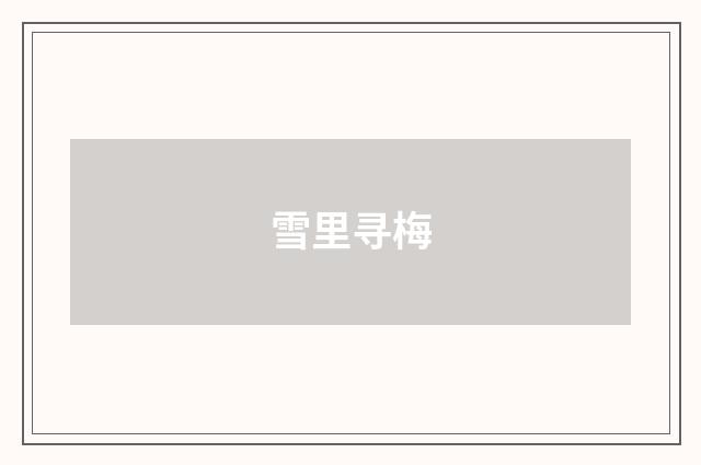 雪里寻梅