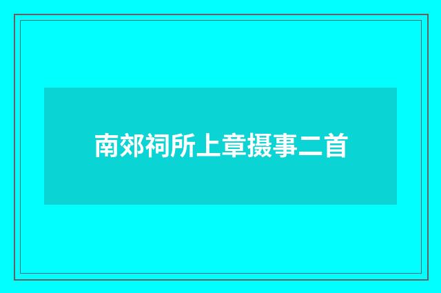 南郊祠所上章摄事二首