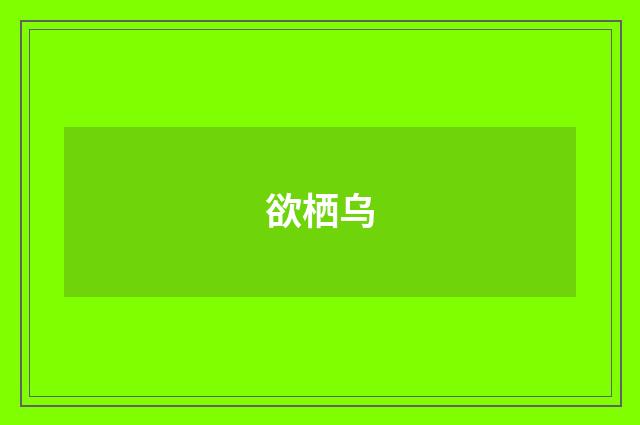 欲栖乌