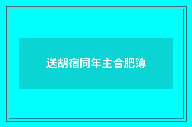送胡宿同年主合肥簿
