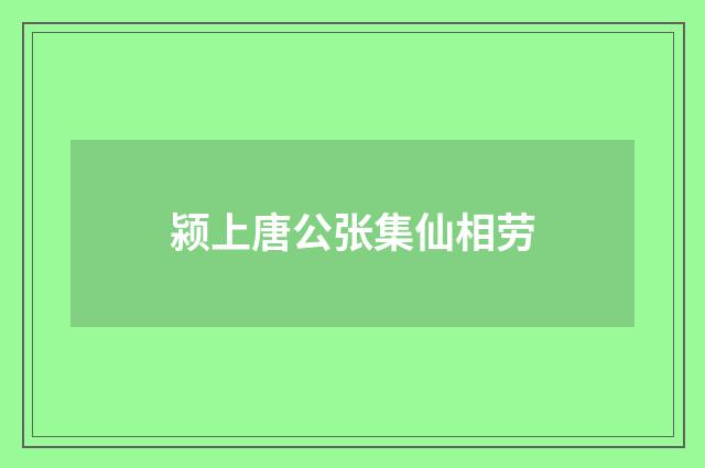 颍上唐公张集仙相劳