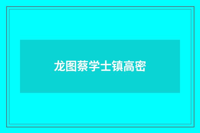 龙图蔡学士镇高密