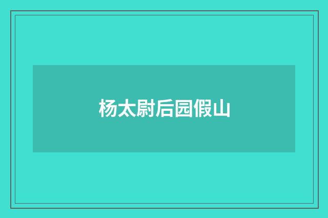 杨太尉后园假山