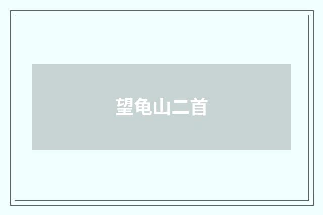 望龟山二首