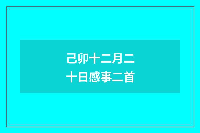 己卯十二月二十日感事二首