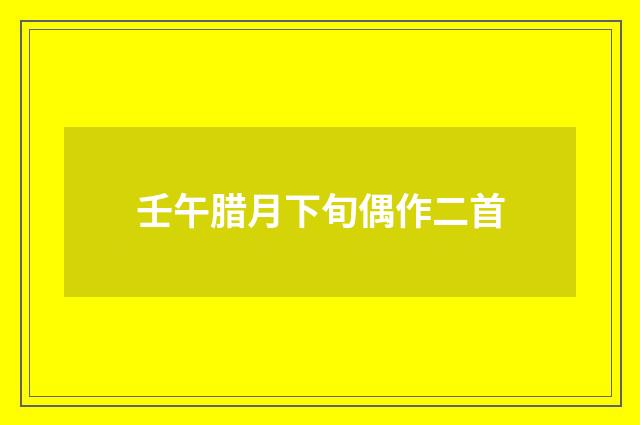 壬午腊月下旬偶作二首