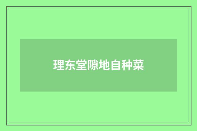 理东堂隙地自种菜