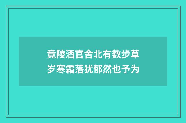 竟陵酒官舍北有数步草岁寒霜落犹郁然也予为