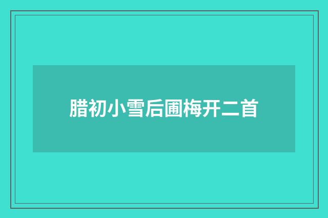 腊初小雪后圃梅开二首