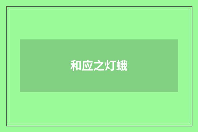 和应之灯蛾