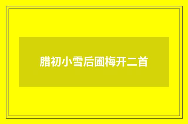 腊初小雪后圃梅开二首