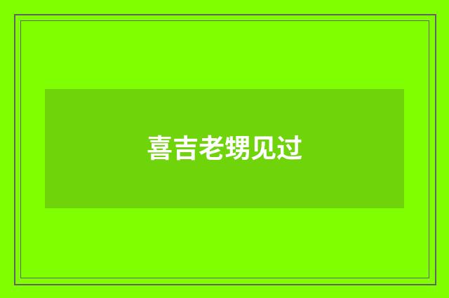 喜吉老甥见过