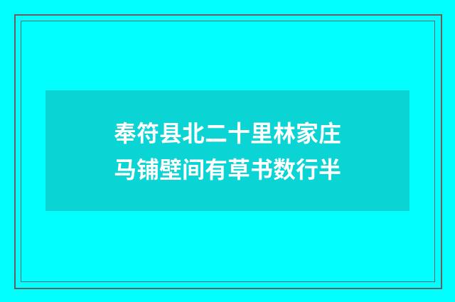 奉符县北二十里林家庄马铺壁间有草书数行半