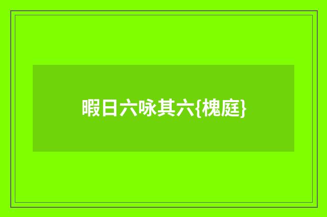 暇日六咏其六{槐庭}