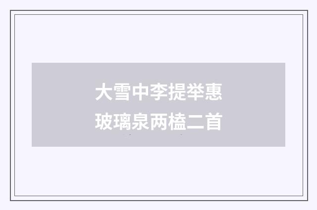 大雪中李提举惠玻璃泉两榼二首