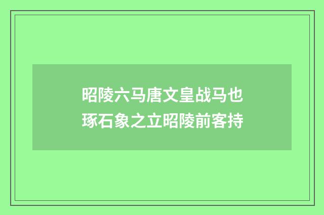 昭陵六马唐文皇战马也琢石象之立昭陵前客持