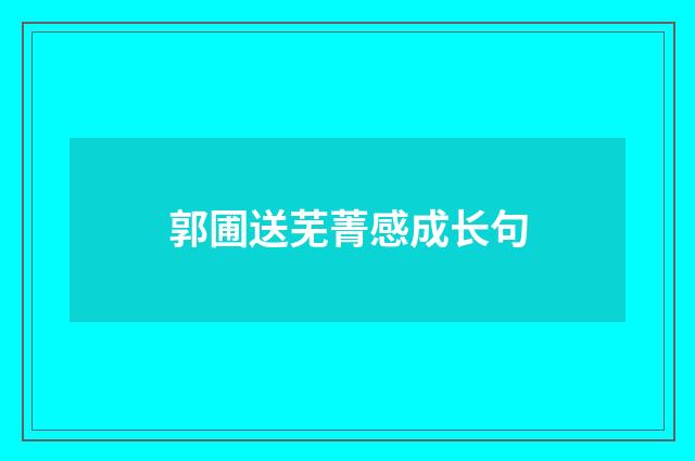 郭圃送芜菁感成长句