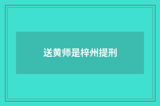 送黄师是梓州提刑