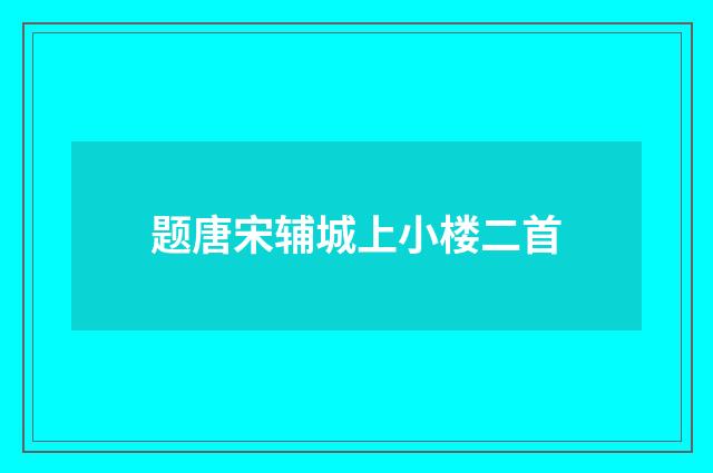 题唐宋辅城上小楼二首