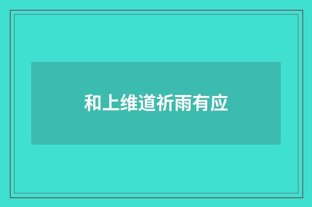 和上维道祈雨有应