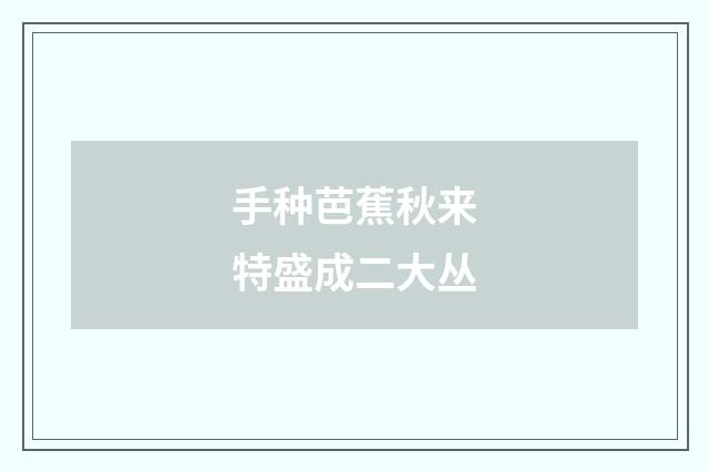 手种芭蕉秋来特盛成二大丛
