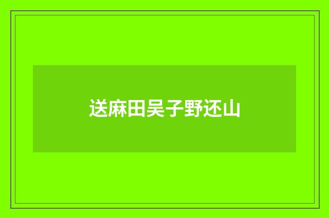 送麻田吴子野还山