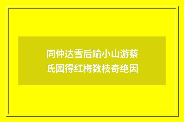 同仲达雪后踰小山游蔡氏园得红梅数枝奇绝因
