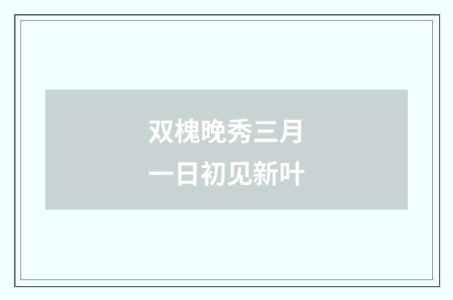 双槐晚秀三月一日初见新叶