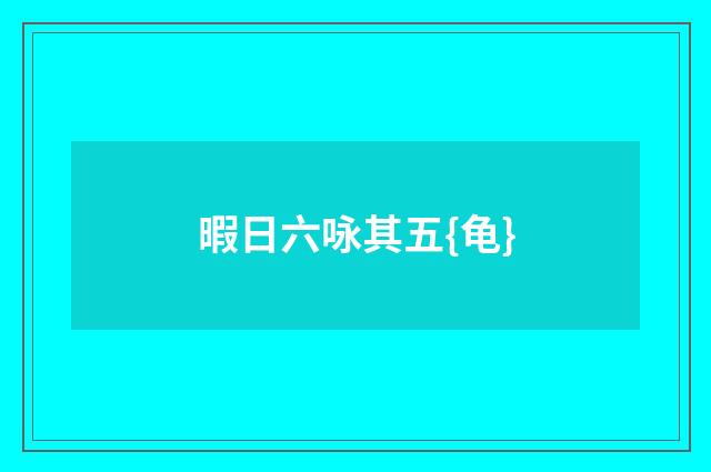 暇日六咏其五{龟}