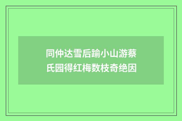 同仲达雪后踰小山游蔡氏园得红梅数枝奇绝因