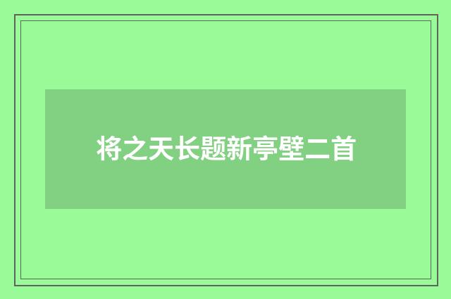 将之天长题新亭壁二首