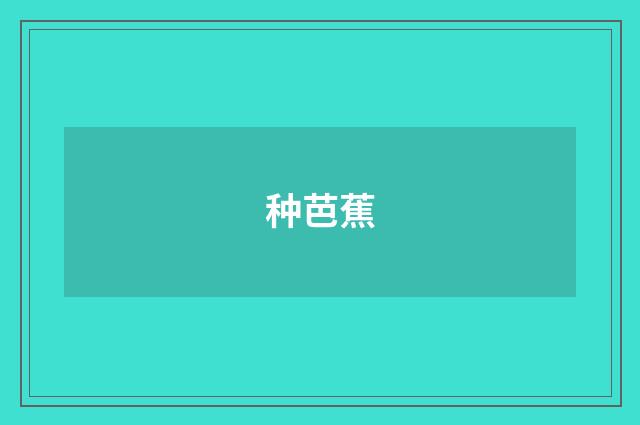 种芭蕉