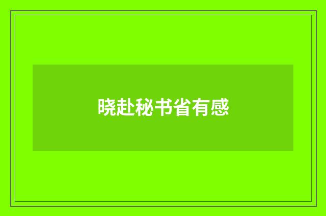 晓赴秘书省有感
