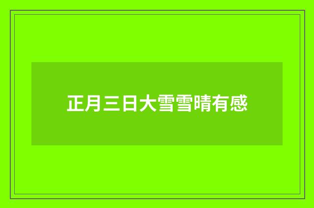正月三日大雪雪晴有感