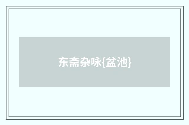 东斋杂咏{盆池}