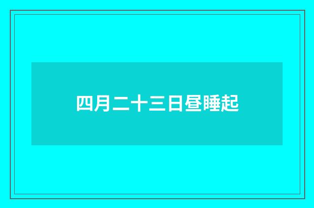 四月二十三日昼睡起