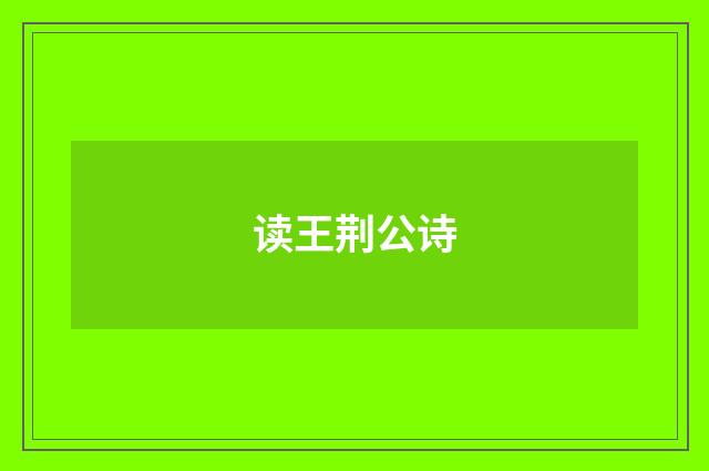 读王荆公诗