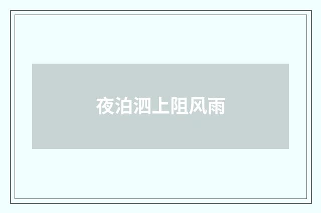 夜泊泗上阻风雨
