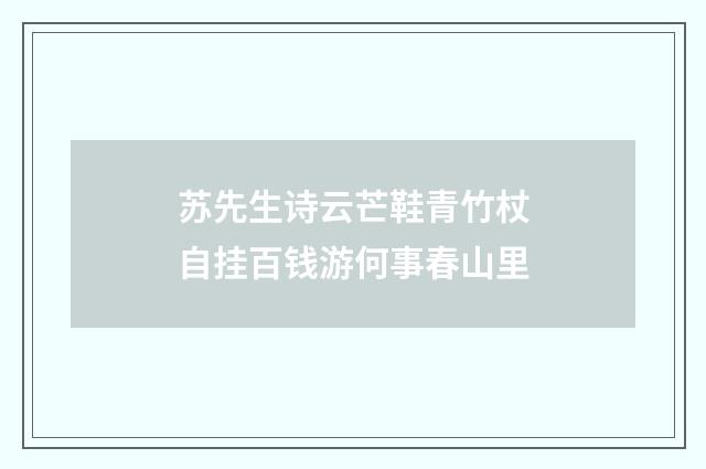 苏先生诗云芒鞋青竹杖自挂百钱游何事春山里