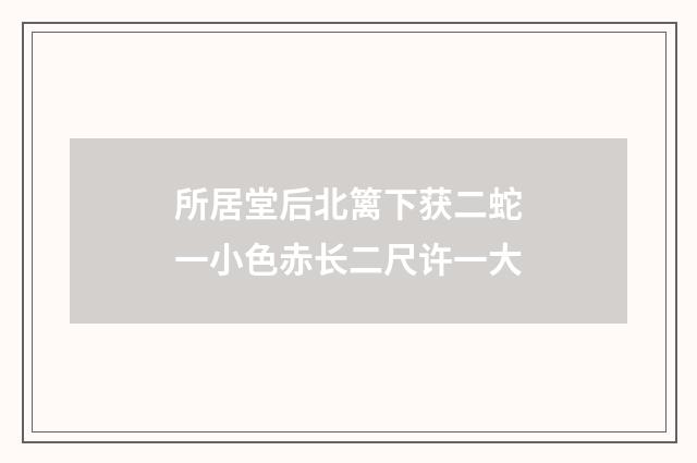 所居堂后北篱下获二蛇一小色赤长二尺许一大