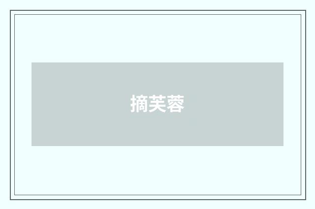 摘芙蓉